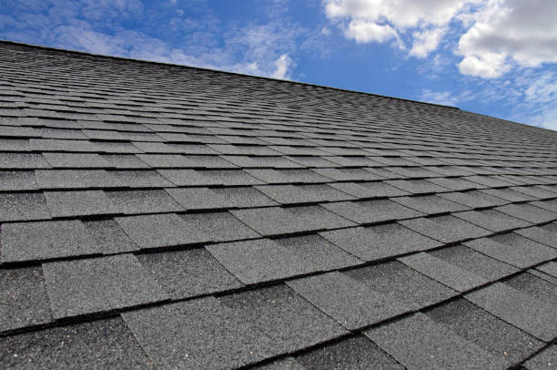 Best Roof Moss and Algae Removal  in Waskom, TX
